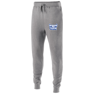 Tampa Bulls 60/40 fleece jogger, charcoal heather