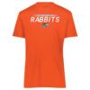 SWAMP RABBITS DRI FIT SHIRT