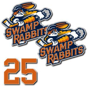 SWAMP RABBITS HELMET DECALS