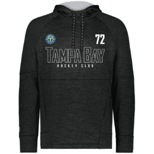 TBHC all pro performance hoodie, hollow logo, black