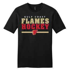 Gulf Coast Flames unisex tee, 2026 bar logo, black