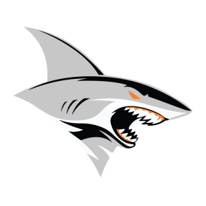 TGH Sharks car decal